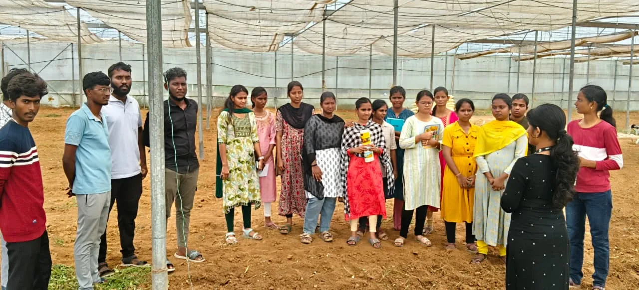IGO Academy students learning greenhouse cultivation