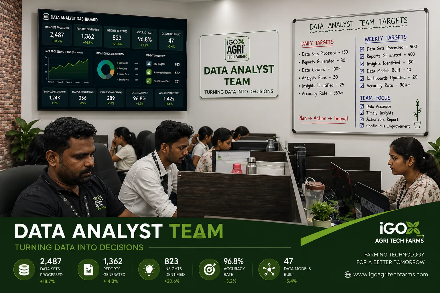 Data Analyst Team