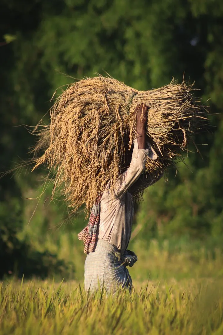 Post-Harvest & Specialized